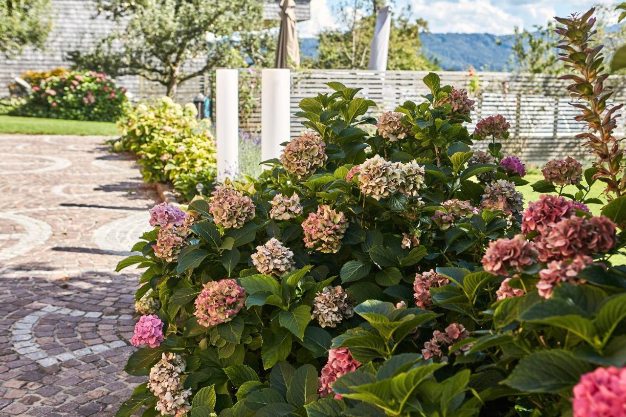 Girlinggut Schlafen Starten Salzburg Elixhausen Esterno foto